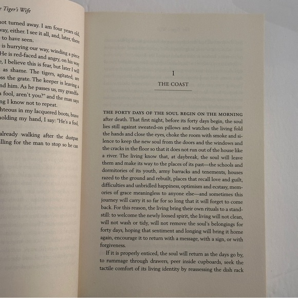 The Tiger's Wife: A Novel by Tea Obreht | Historical Fiction | Paperback Book - Picture 7 of 7